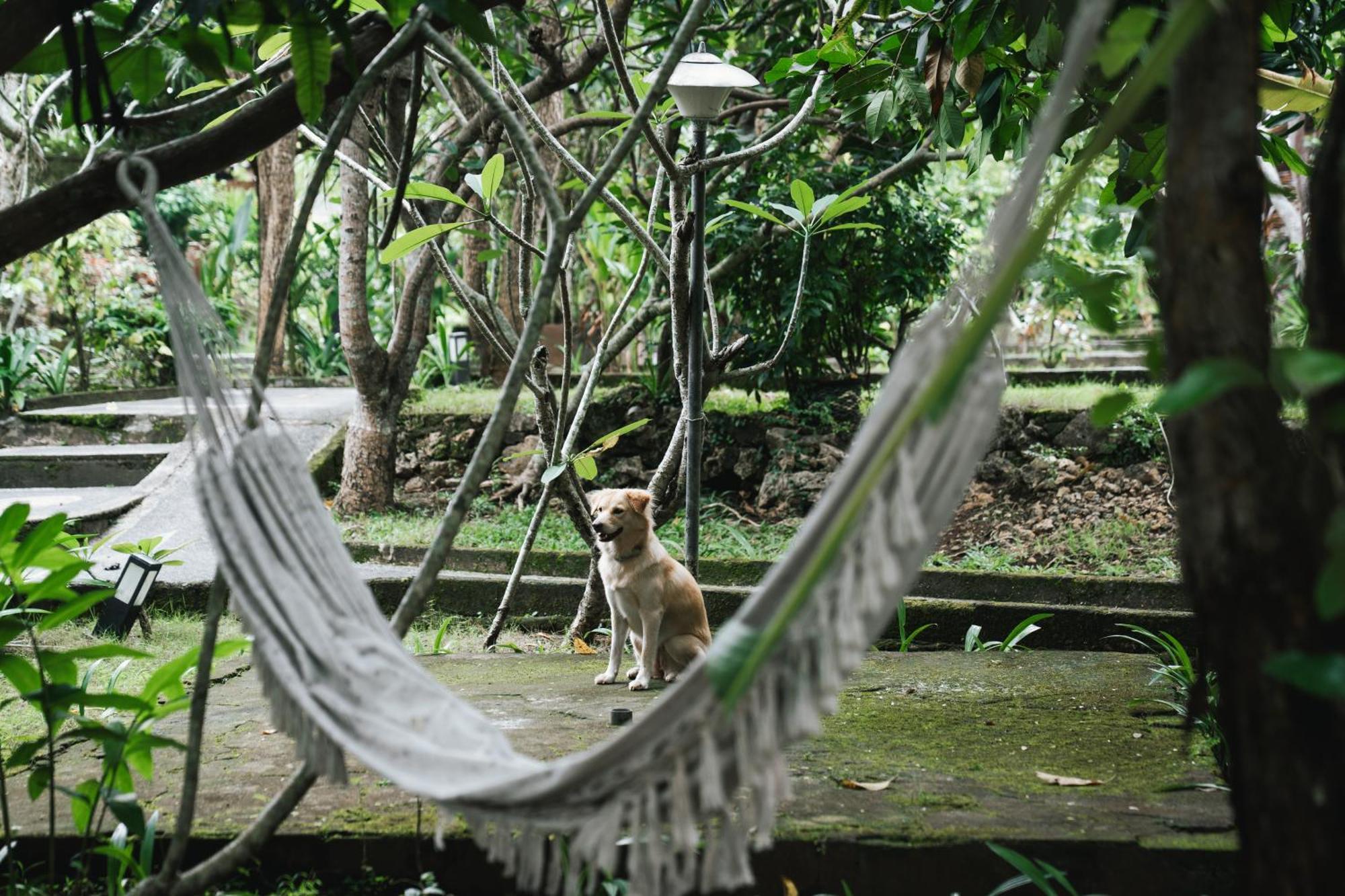 Olo Surf Nature Uluwatu  Luaran gambar